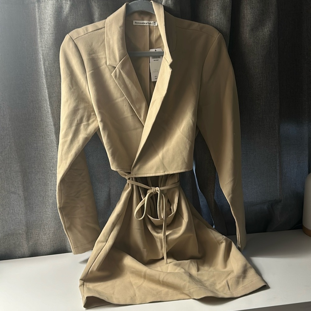 Abercrombie Dress